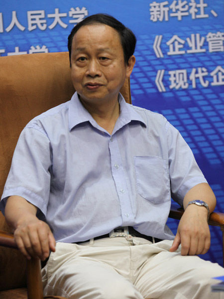 “全国企业文化年会（2013）”于6月22日-23日在北京召开。上图为中国社科院研究员刘光明。(图片来源：新浪财经 梁斌 摄)