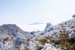 泉州旅游：德化九仙山 寒冬里看怒放的冰花