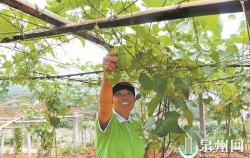 预制菜：从“菜篮子”到“菜盘子”——预制菜“占领”市民餐桌，进入商超、餐厅，预制菜生产促进我市农民增收、乡村振兴