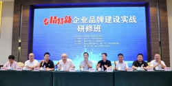 加强企业品牌建设 走稳专精特新发展之路——专精特新企业品牌建设实战研修班在晋江举行