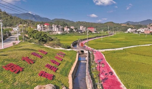 泉港深化“林长+N”机制 守护绿水青山