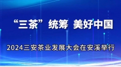 “三茶”统筹 美好中国——2024三安茶业发展大会在安溪举行